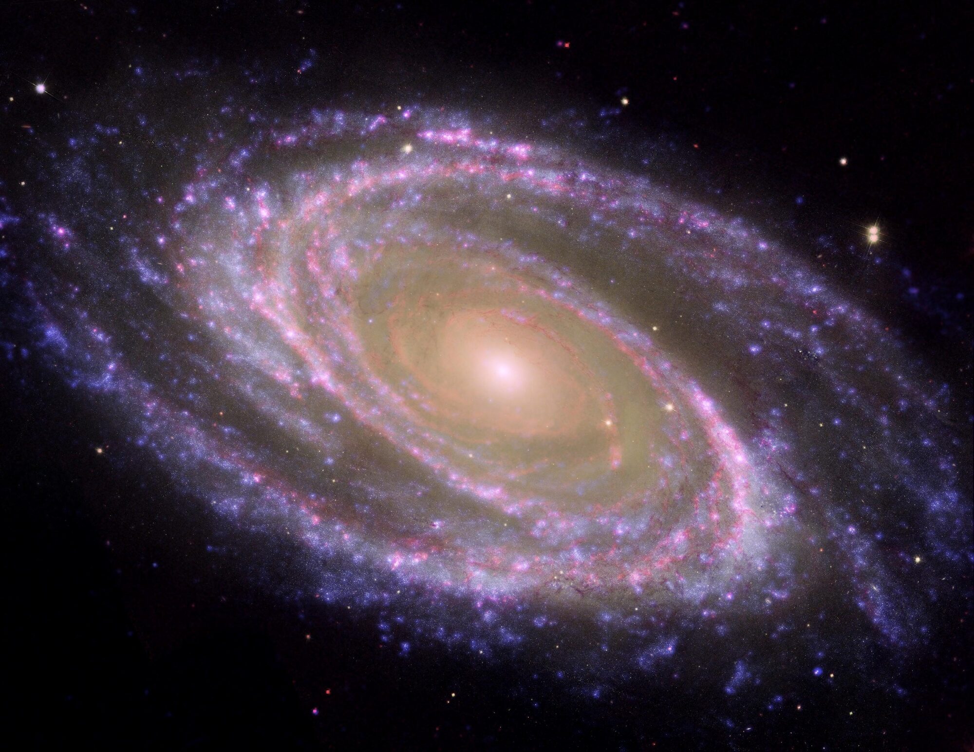 Bode's Galaxy