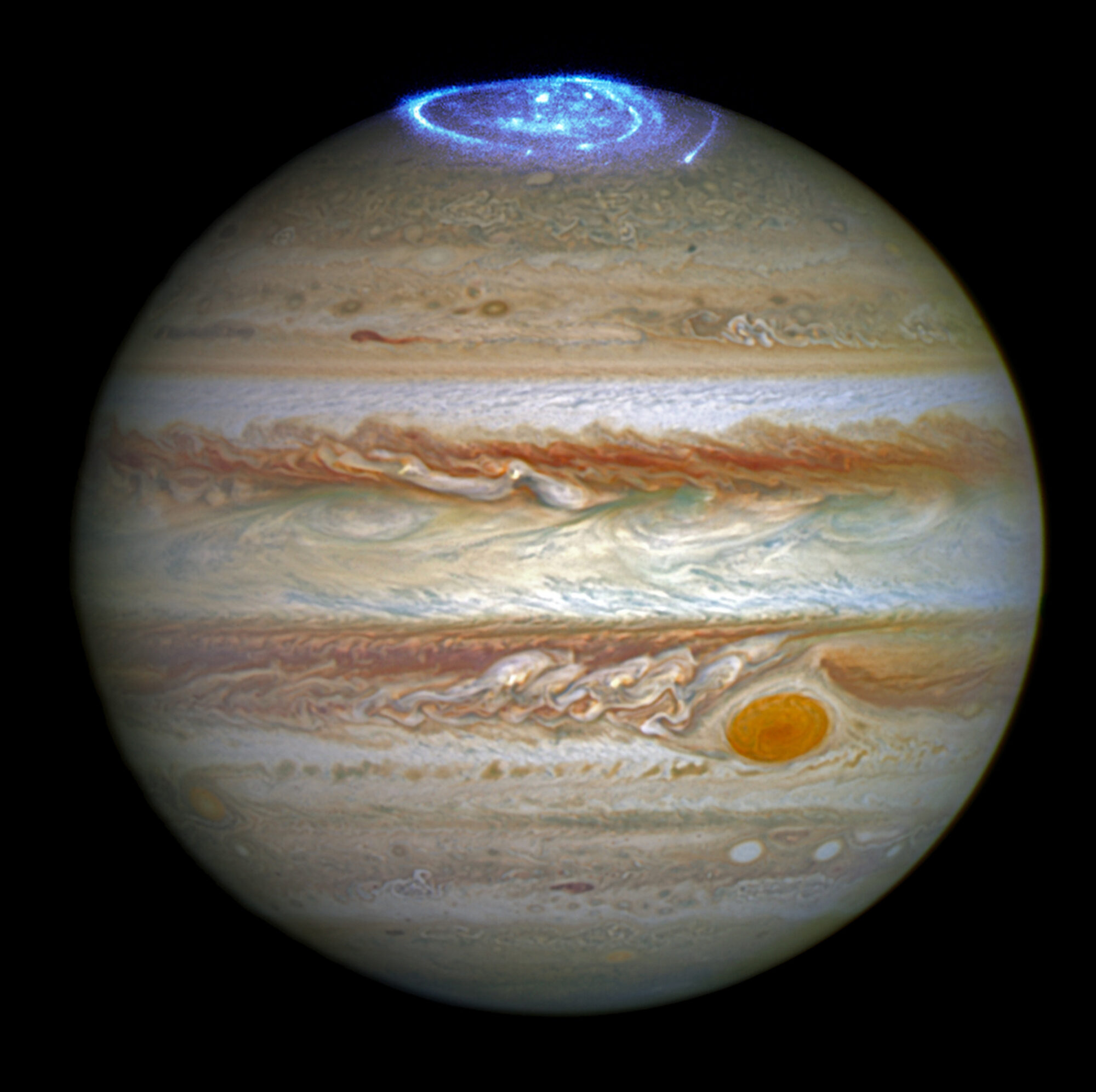 Jupiter's auroras
